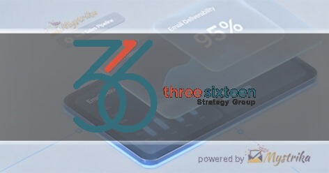 316 Strategy Group