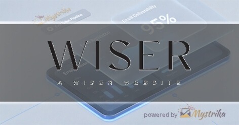 A Wiser Website