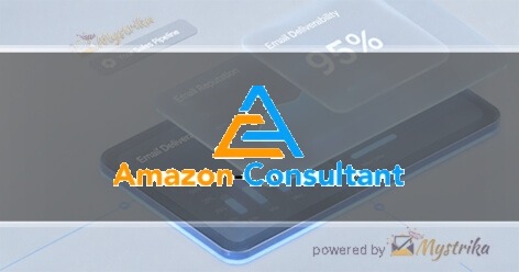 Amazon Consultant