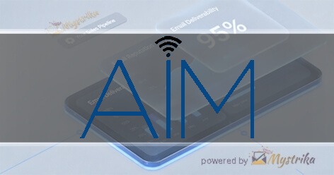 American Interactive Marketing