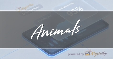 Animals