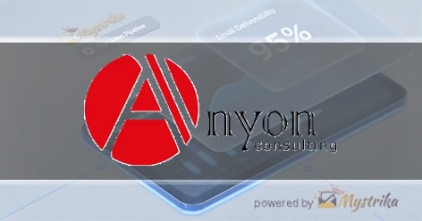 Anyon Consulting