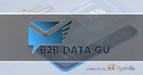 B2B Data Guy