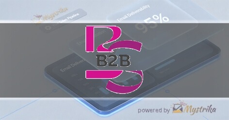 B2B IT Solutions