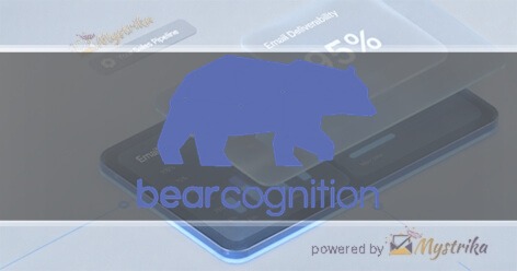 Bear Cognition