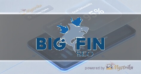 Big Fin SEO