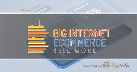 Big Internet Seller Services Inc