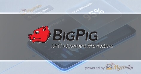 Big Pig SEO