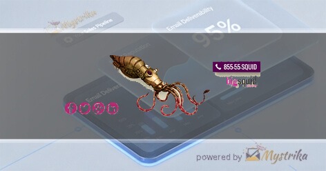 Big Squid Interactive