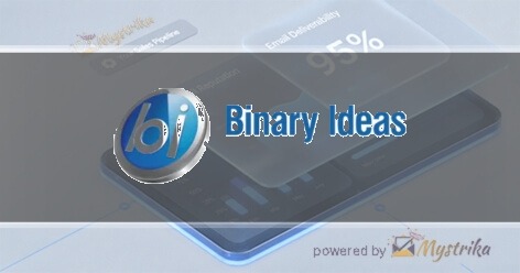 Binary Ideas Local Marketing