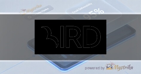 Bird Marketing Agency logo