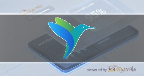 Birdmorning Solutions