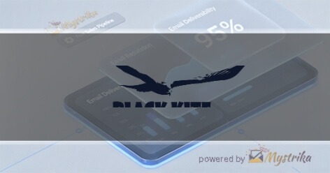 Black Kite Marketing