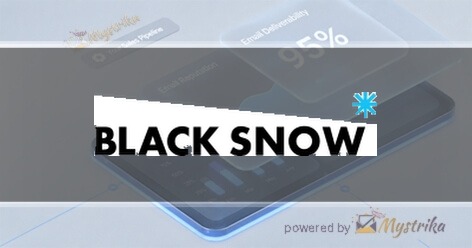 Black Snow Agency Agency logo