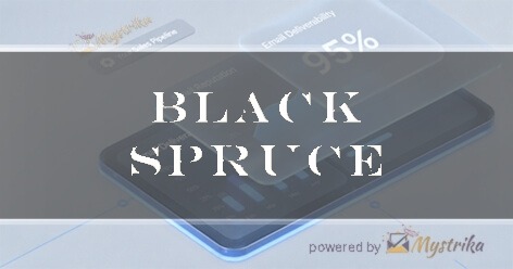 Black Spruce Llc