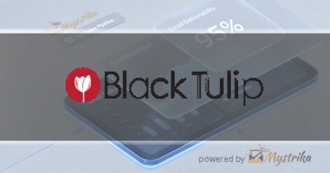 Black Tulip Marketing Studio Agency logo