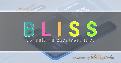 Bliss Consulting Services