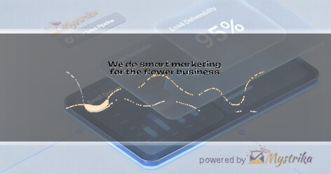 Bloom Rush Marketing Agency