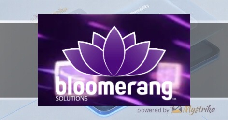 Bloomerang Marketing Solutions