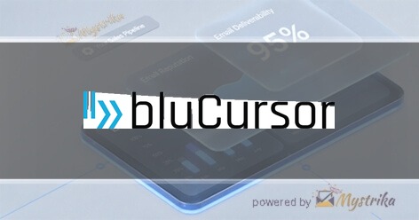 bluCursor Infotech Pvt Ltd