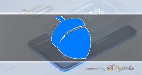 Blue Acorn iCi