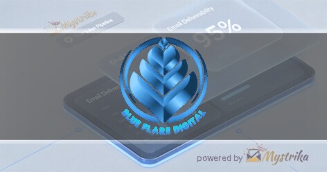 Blue Flare Digital Agency logo