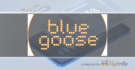 Blue Goose