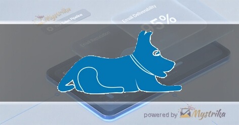 Blue Lacy SEO