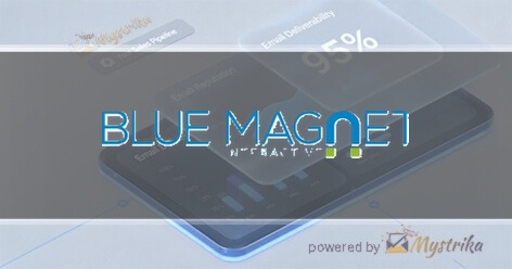 Blue Magnet Interactive