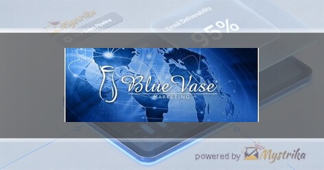 Blue Vase Marketing
