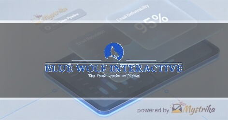 Blue Wolf Interactive