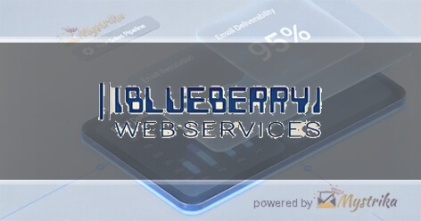 Blueberry Web Services