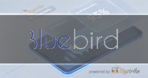 Bluebird Creative