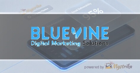 BlueVine Digital Marketing Solutions, Inc.