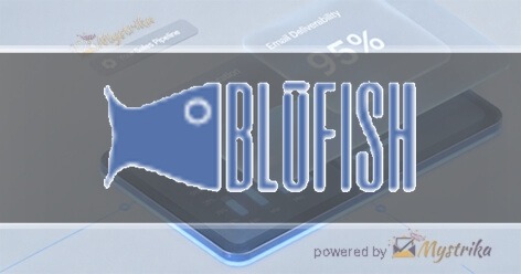 Blufish Design Studio