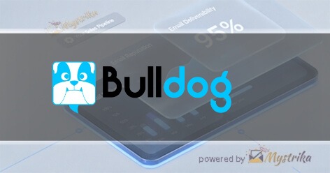 Bulldog Digital Media Agency logo