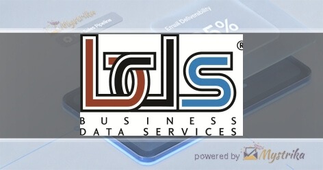 Business Data Services