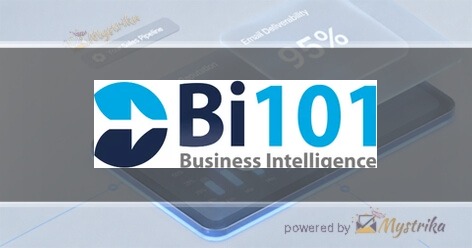 Business Intelligence 101