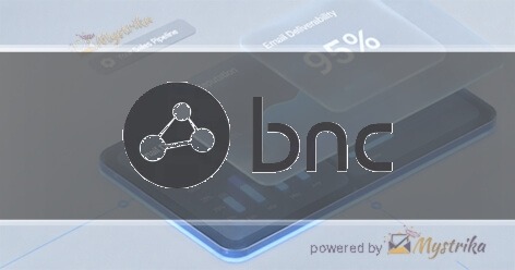 Business Network Consulting