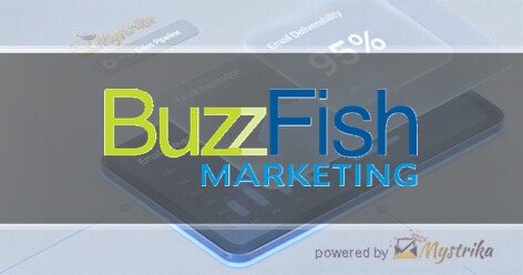 BuzzFish Marketing