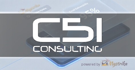 C51 Consulting