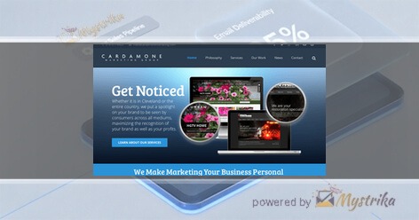 Cardamone Marketing Group