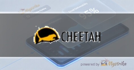 Cheetah Agency