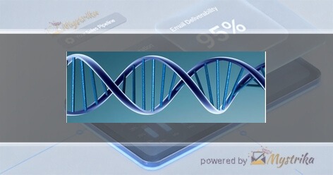DNA Business Solutions