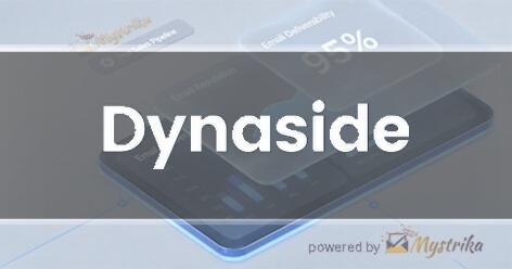 Dynaside Digital Solutions Agency logo