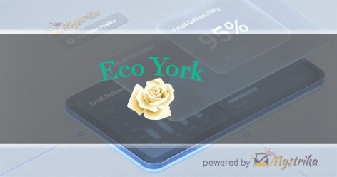 Eco York LLC