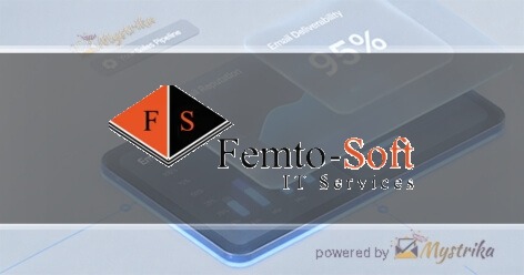 Femto-Soft IT Services Agency logo