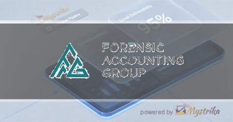 Forensic Accounting Group