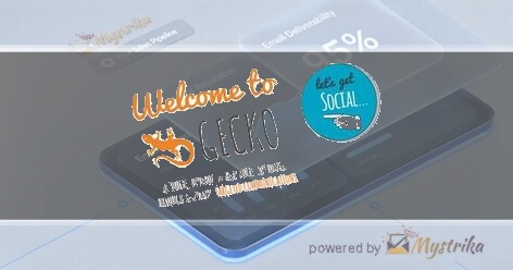 Gecko Direct