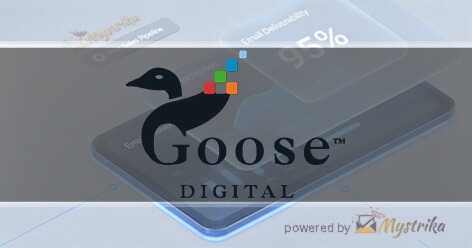 Goose Digital: HubSpot • Marketing Automation Agency logo